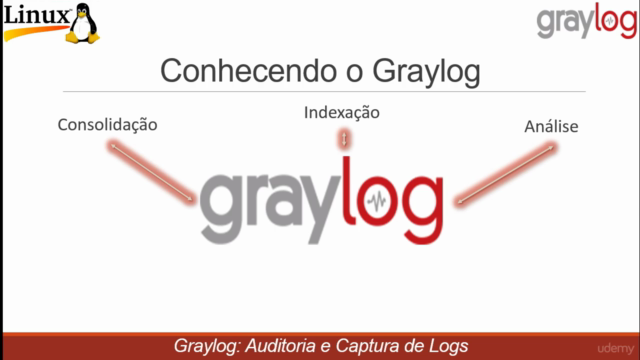 Gerenciando logs com Graylog - Screenshot_02