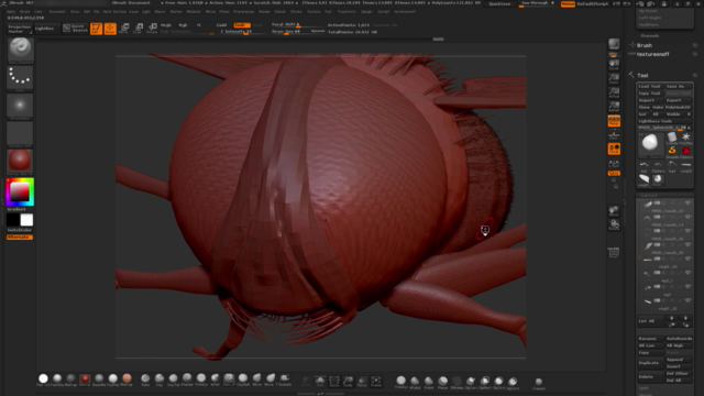 ZBrush Online Course Sculpting and Modelling "The Fly" - Screenshot_03