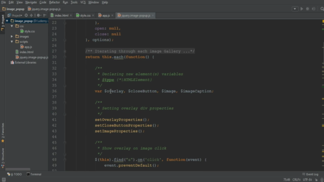 Build a Complete JQuery Plugin - Screenshot_03