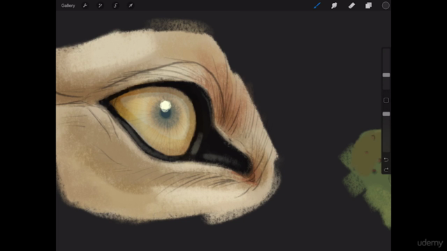 Digitally Painting and Drawing Eyes - Screenshot_01