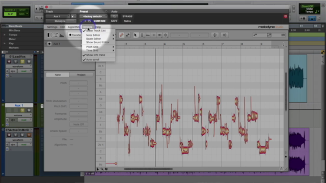 Melodyne: Pitch Correction and Beyond - Screenshot_03