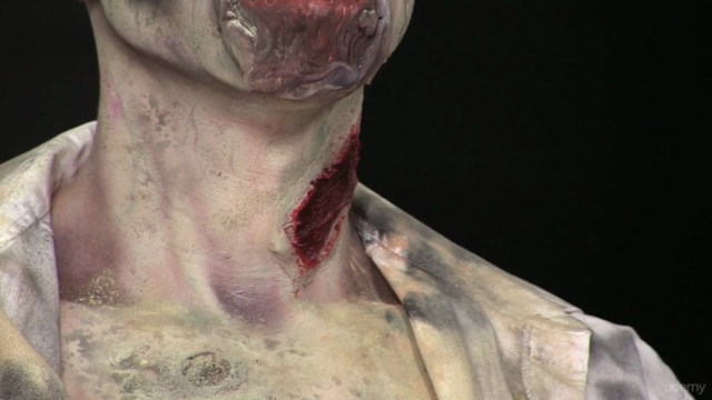 Special Effects (fx) Makeup Level 1 - Screenshot_03