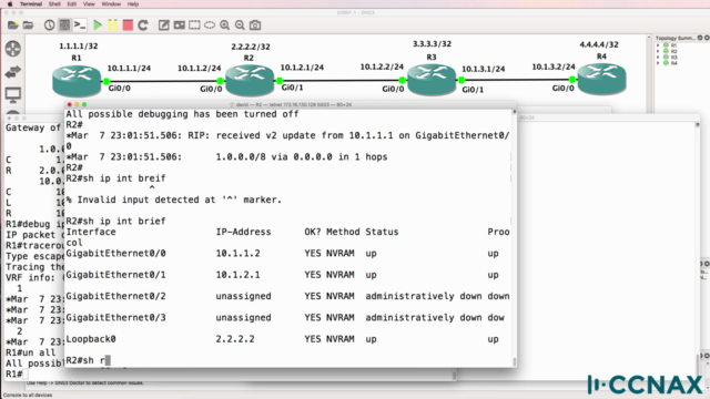 RIP troubleshooting: Cisco CCNA preparation - Screenshot_03