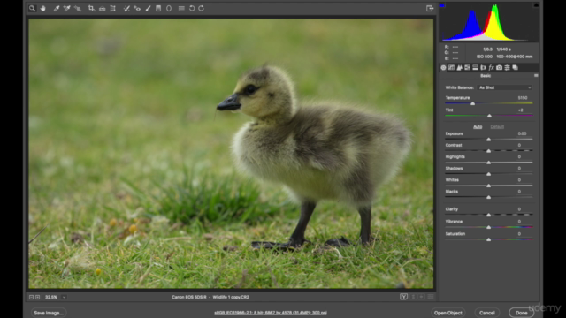 Adobe Bridge CC and Adobe Camera Raw for Beginners - Screenshot_01