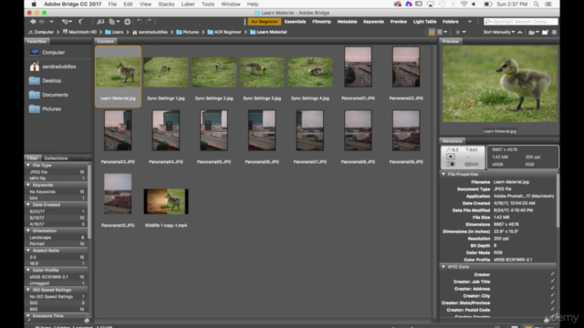 Adobe Bridge CC and Adobe Camera Raw for Beginners - Screenshot_02