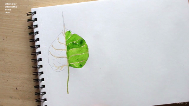 Sketchbook Everyday - Leaves in Watercolor - Screenshot_03