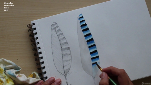 Sketchbook Everyday - Painting Feathers in Watercolor - Screenshot_04