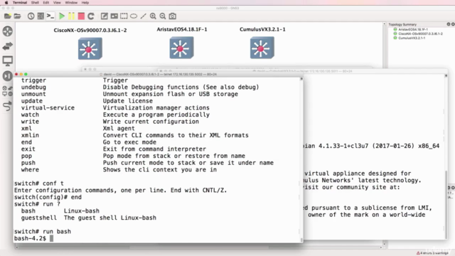 Linux for Network Engineers: Practical Linux with GNS3 - Screenshot_04