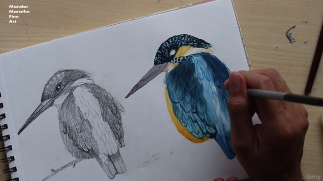 Sketchbook Everyday: Painting Birds in Watercolor - Screenshot_02