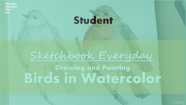 Sketchbook Everyday: Painting Birds in Watercolor - Screenshot_04