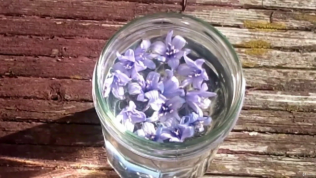 Energy healing with Flower Remedies - Screenshot_02