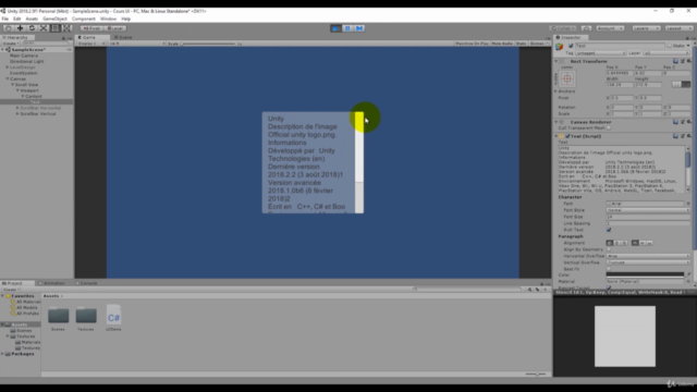 Maîtriser Unity et le C# | Guide Complet Développeur - Screenshot_04