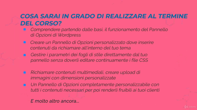 Wordpress: crea il tuo Pannello di Opzioni personalizzato - Screenshot_04