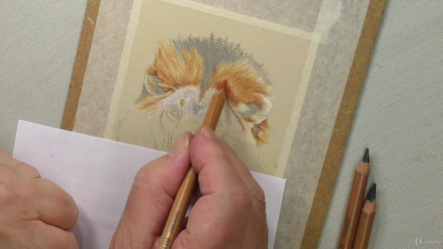 Draw Wild Animals using Pastel Pencils Volume 1 - Screenshot_01