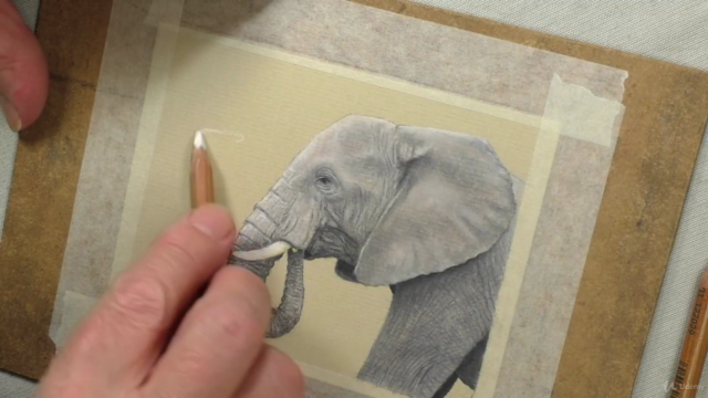 Draw Wild Animals using Pastel Pencils Volume 1 - Screenshot_03