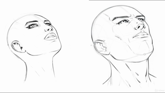 How to Draw Heads - Step by Step - From Any Angle - Screenshot_02