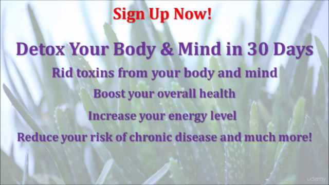 How to Detox Your Body & Mind - Screenshot_04