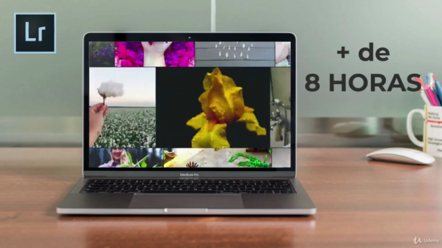 Adobe Lightroom: Máster en Fotografía Digital - Screenshot_01