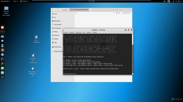 Python'la Hacker Araçları Yazma - Screenshot_03