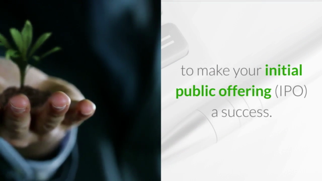 The Complete IPO Course: Learn Initial Public Offerings - Screenshot_02