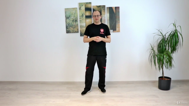 Wing Chun / JKD: Trapping & Chi Sao - Screenshot_01