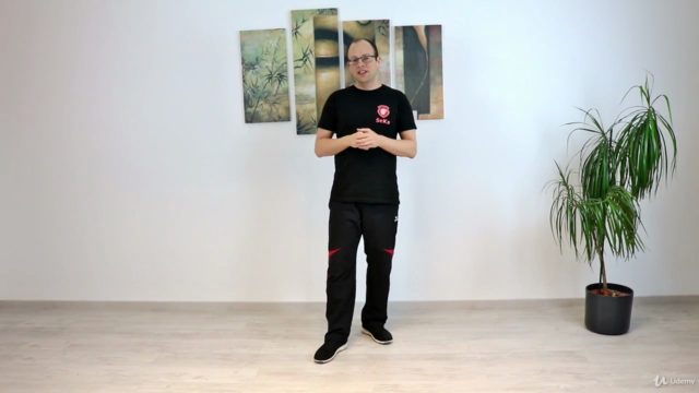 Wing Chun / JKD: Trapping & Chi Sao - Screenshot_02