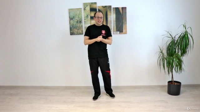 Wing Chun / JKD: Trapping & Chi Sao - Screenshot_04