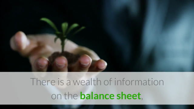 Accounting 101: Understanding & Analyzing Balance Sheets - Screenshot_02