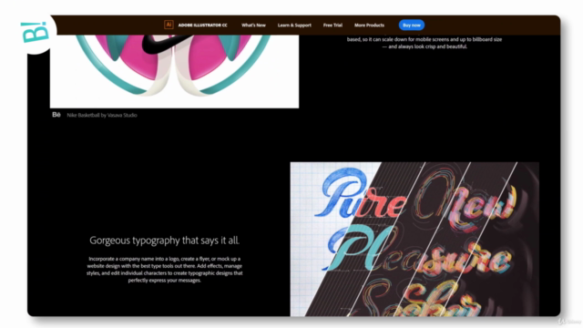 Adobe Illustrator и теория дизайна: От нуля до профессионала - Screenshot_01