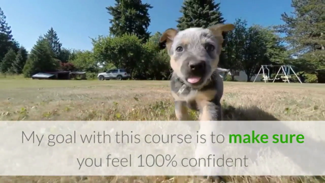 Learn How To Start A Dog Walking Business - Screenshot_03