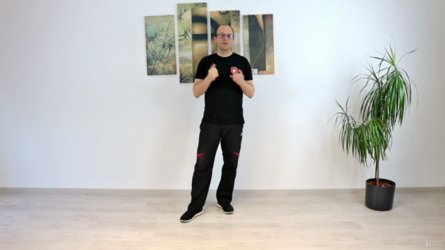 Wing Chun - Das komplette erste Schülerprogramm - Screenshot_03