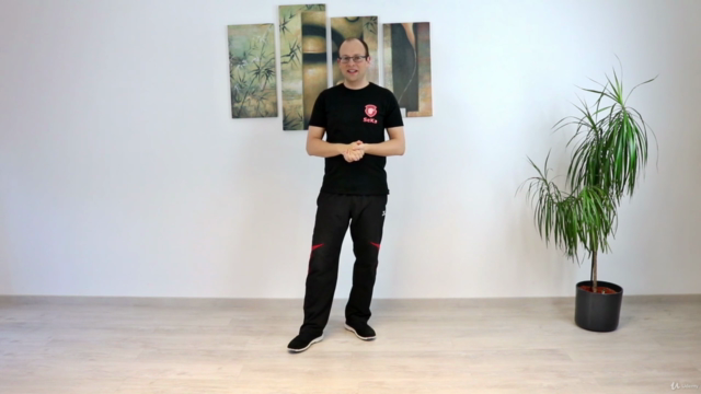 Wing Chun - Das komplette dritte Schülerprogramm - Screenshot_04