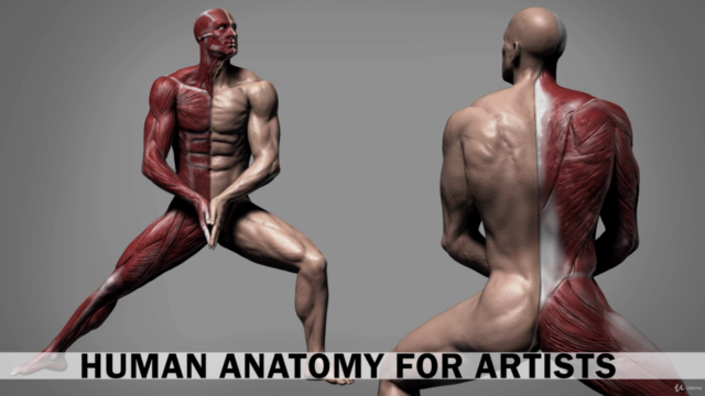 Human Anatomy for Artists using Zbrush and Photoshop - Screenshot_01