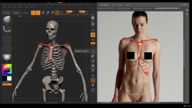 Human Anatomy for Artists using Zbrush and Photoshop - Screenshot_02