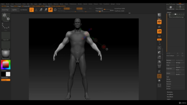 Human Anatomy for Artists using Zbrush and Photoshop - Screenshot_03