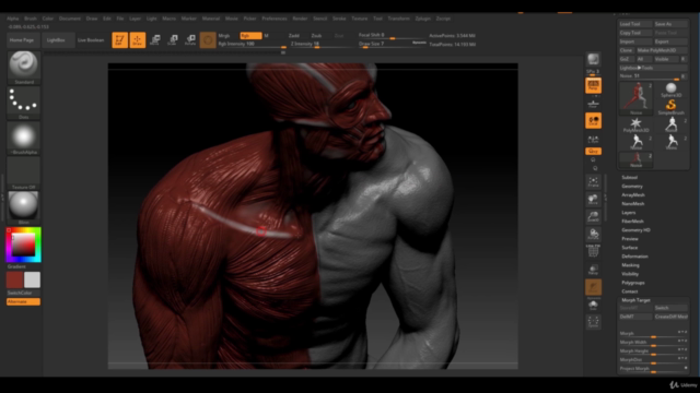 Human Anatomy for Artists using Zbrush and Photoshop - Screenshot_04