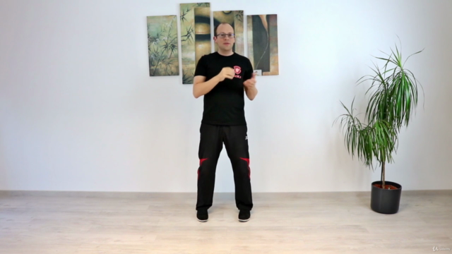 Wing Chun - Das komplette fünfte Schülerprogramm - Screenshot_02