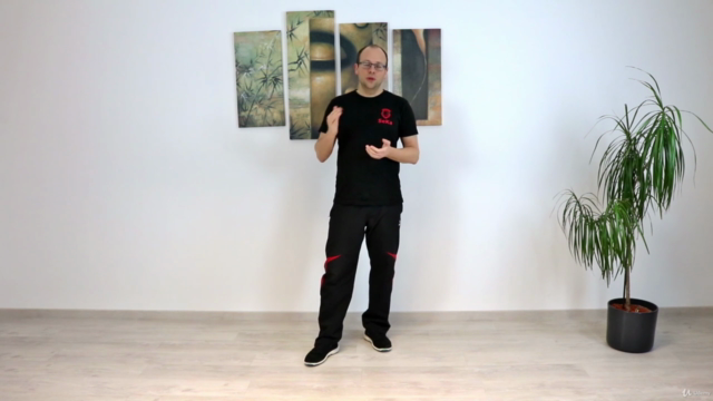 Wing Chun - Das komplette siebente Schülerprogramm - Screenshot_02