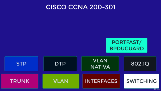 CCNA 200-301 - Tecnologías LAN Switching y VLANs - Screenshot_03