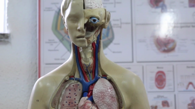 A Ultimate guide to learn Human Anatomy for medical students - Screenshot_01