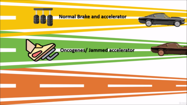 Recombinant DNA technology- a game changer in cancer biology - Screenshot_02