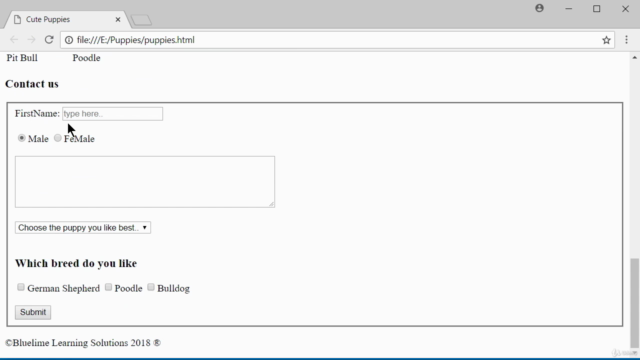 Learn to code with HTML from Scratch - Screenshot_03