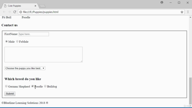 Learn to code with HTML from Scratch - Screenshot_04