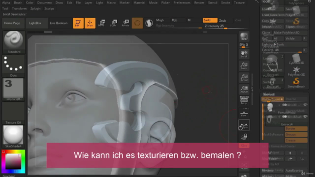 Zbrush lernen - Schnell und Einfach (deutsch) - Screenshot_04