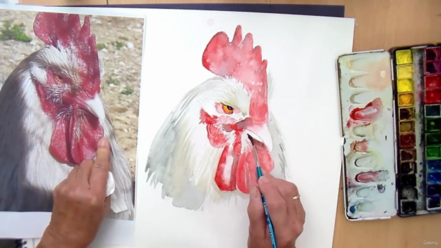 RELAX paint FUN watercolor CHICKENS.  Shape, pose & colors. - Screenshot_01