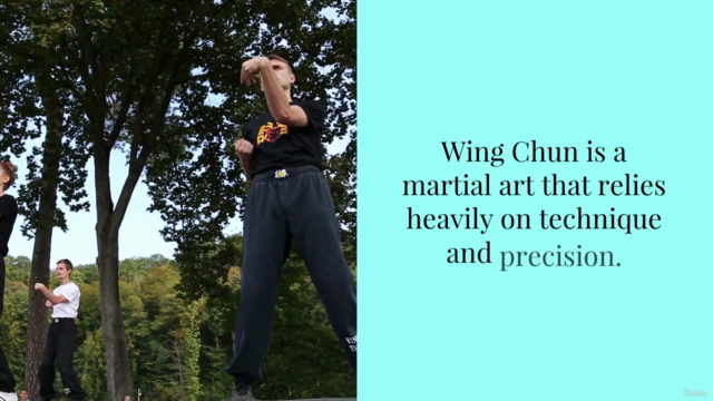 Must-Have: Wing Chun Correction Course - Screenshot_01