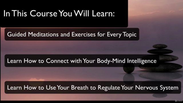 Exploring the Mind-Body Connection - Screenshot_03