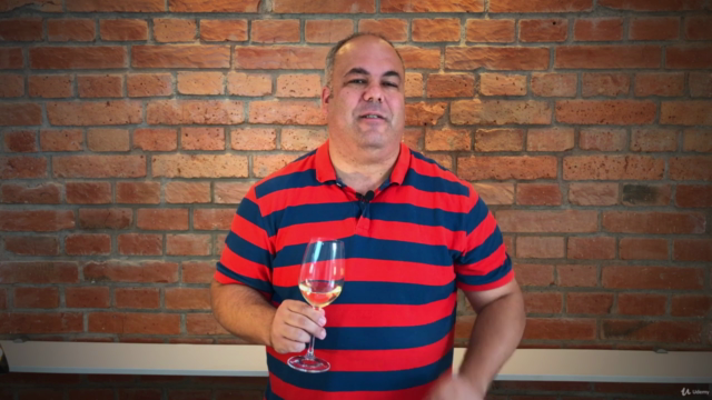Wine in 9: The Complete Wine Tasting Course - Screenshot_04