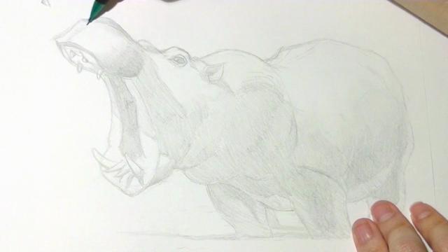 Drawing Animals: From Anatomy to Rendering - Screenshot_04