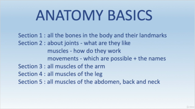 Anatomy Basics - Screenshot_03